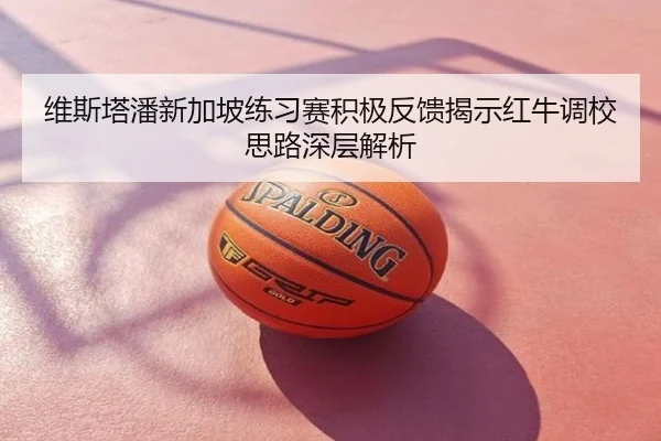 维斯塔潘新加坡练习赛积极反馈揭示红牛调校思路深层解析